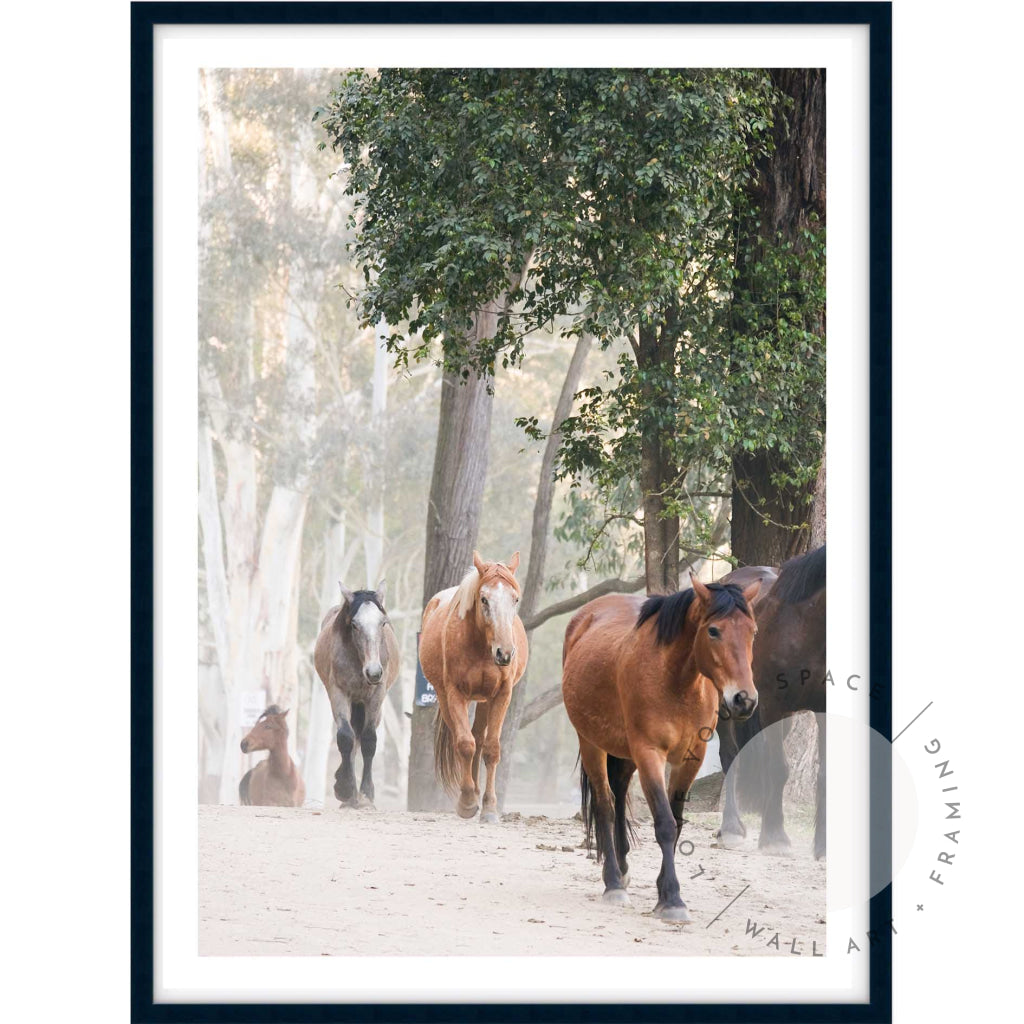 Glenworth Valley I A4 (21cm x 29.7cm) / Black Posters Prints & Visual Artwork