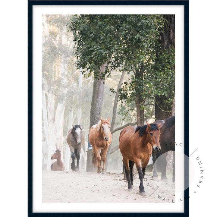 Glenworth Valley I A4 (21cm x 29.7cm) / Black Posters Prints & Visual Artwork