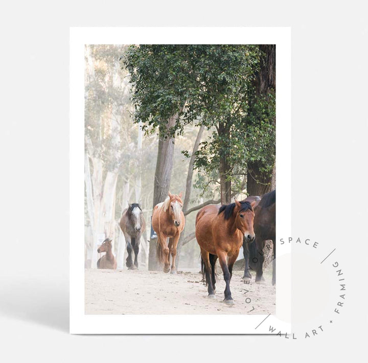 Glenworth Valley I A4 (21cm x 29.7cm) / No Frame Posters Prints & Visual Artwork