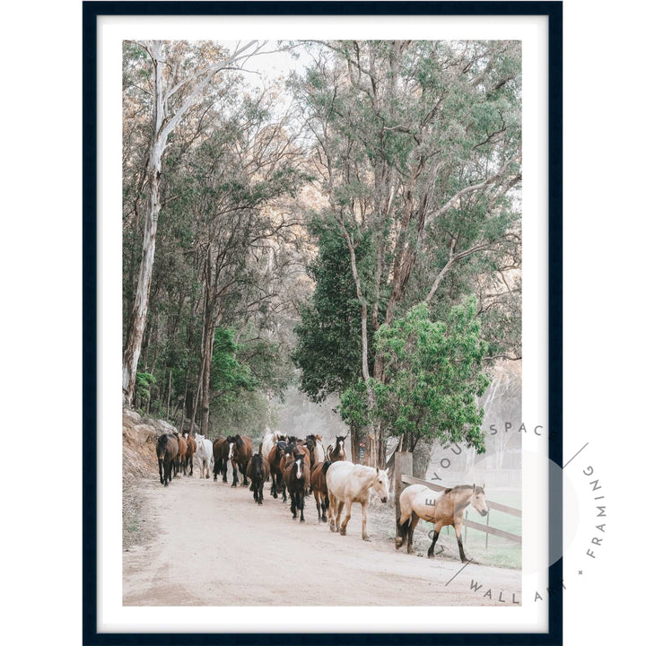 Glenworth Valley II A4 (21cm x 29.7cm) / Black Posters Prints & Visual Artwork