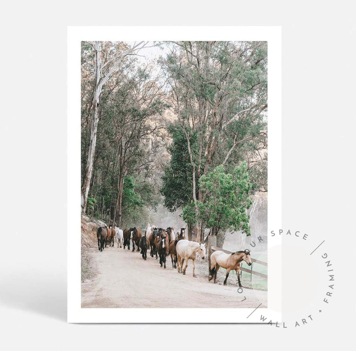 Glenworth Valley II A4 (21cm x 29.7cm) / No Frame Posters Prints & Visual Artwork