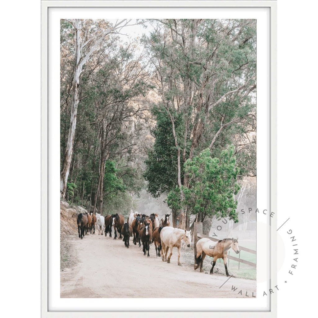 Glenworth Valley II A4 (21cm x 29.7cm) / White Posters Prints & Visual Artwork