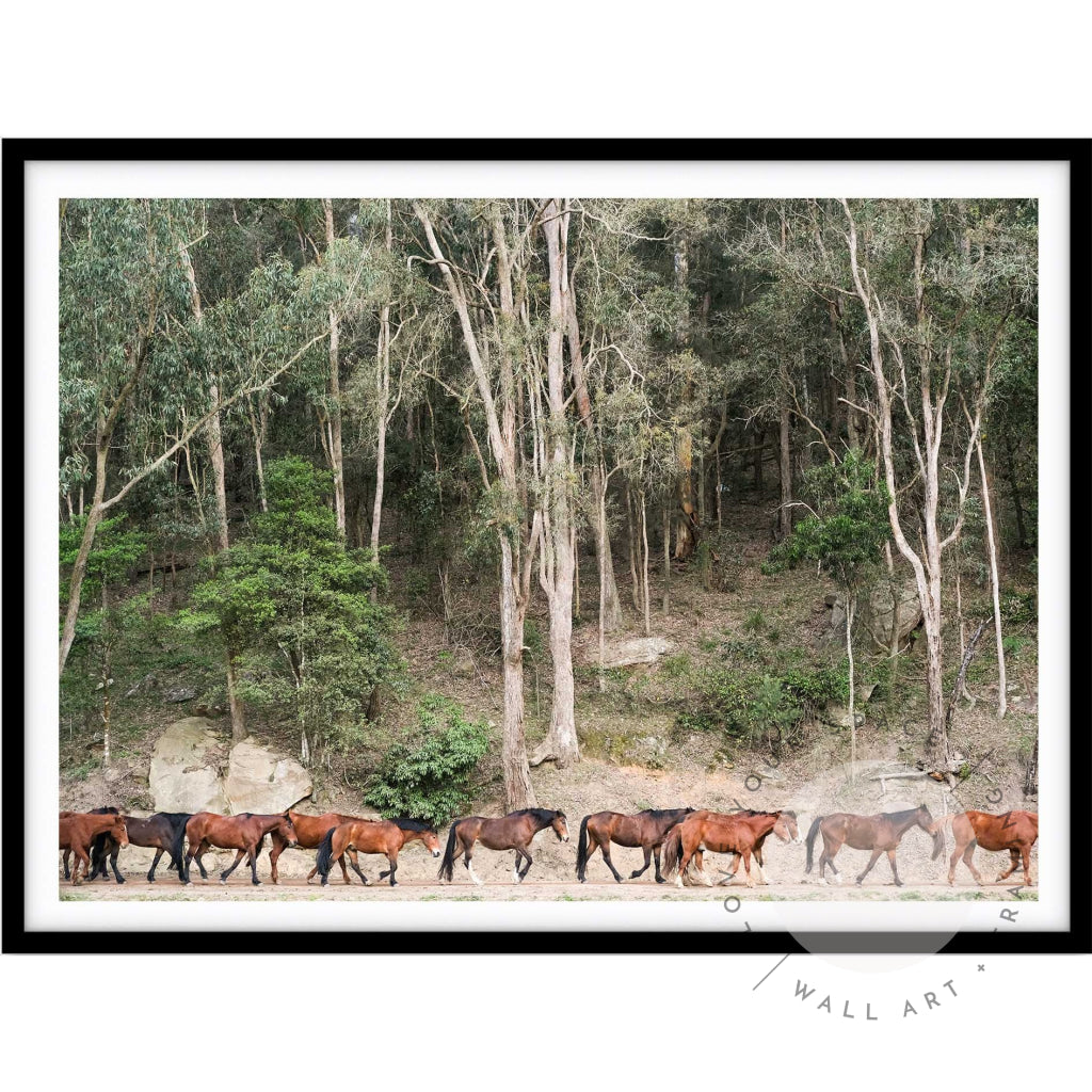 Glenworth Valley III A4 (21cm x 29.7cm) / Black Posters Prints & Visual Artwork