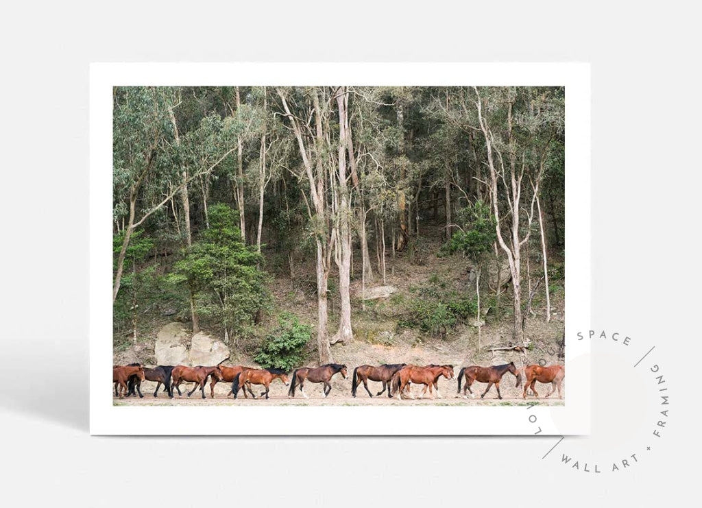 Glenworth Valley III A4 (21cm x 29.7cm) / No Frame Posters Prints & Visual Artwork