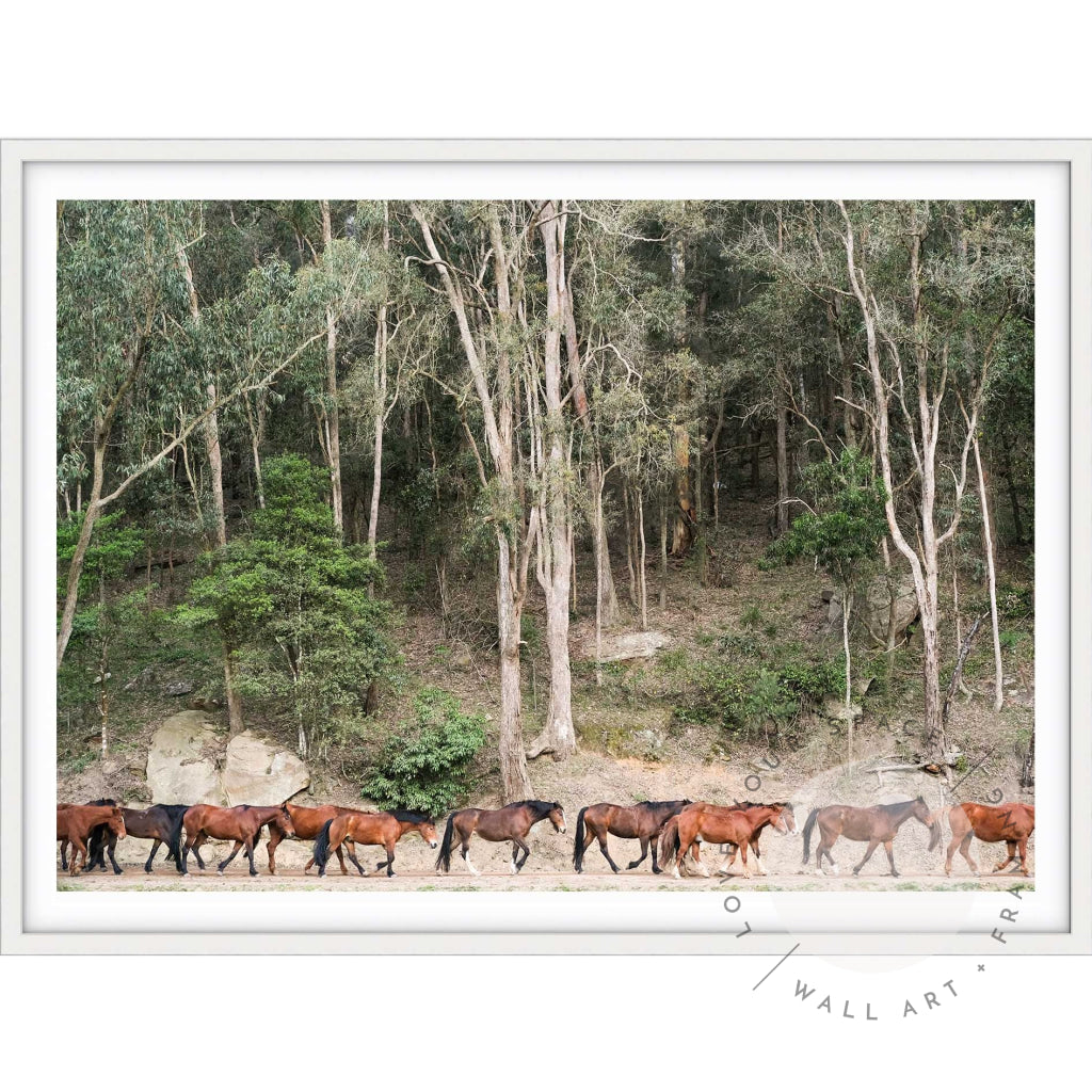 Glenworth Valley III A4 (21cm x 29.7cm) / White Posters Prints & Visual Artwork