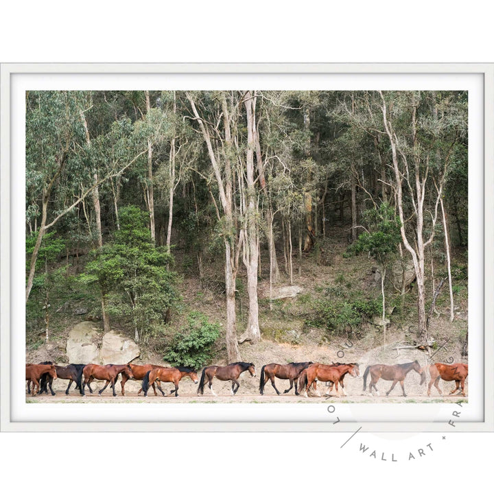 Glenworth Valley III A4 (21cm x 29.7cm) / White Posters Prints & Visual Artwork