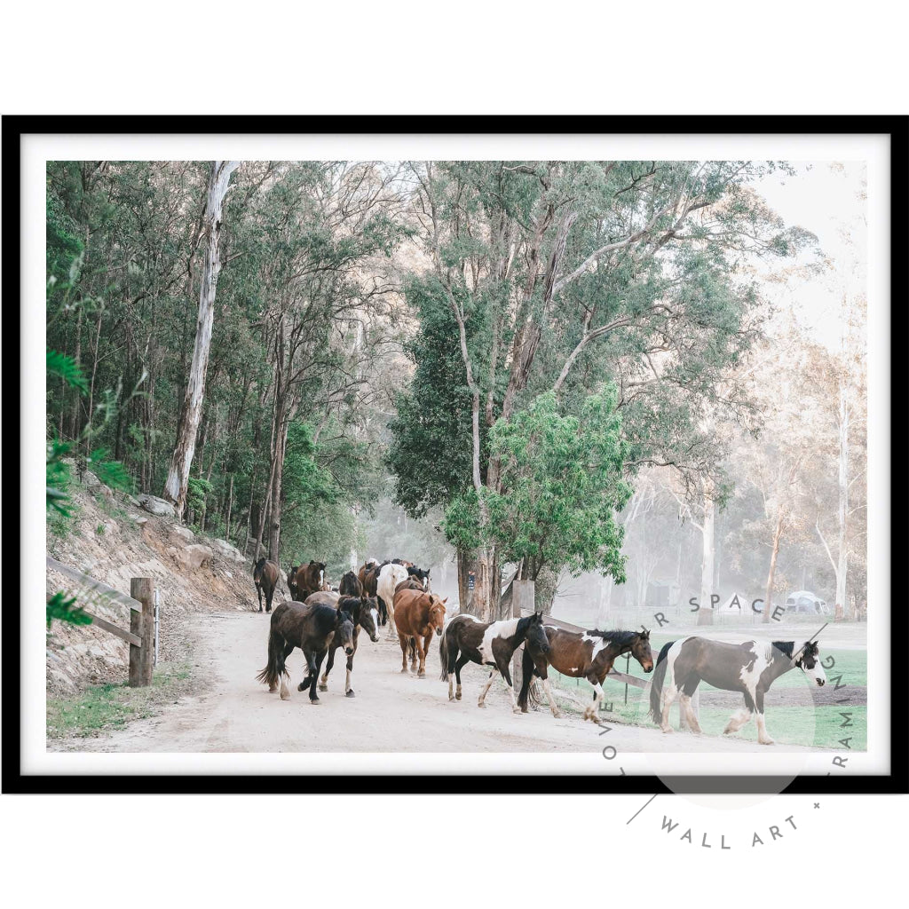 Glenworth Valley IIII A4 (21cm x 29.7cm) / Black Posters Prints & Visual Artwork