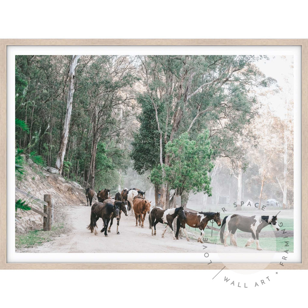 Glenworth Valley IIII A4 (21cm x 29.7cm) / Oak Posters Prints & Visual Artwork