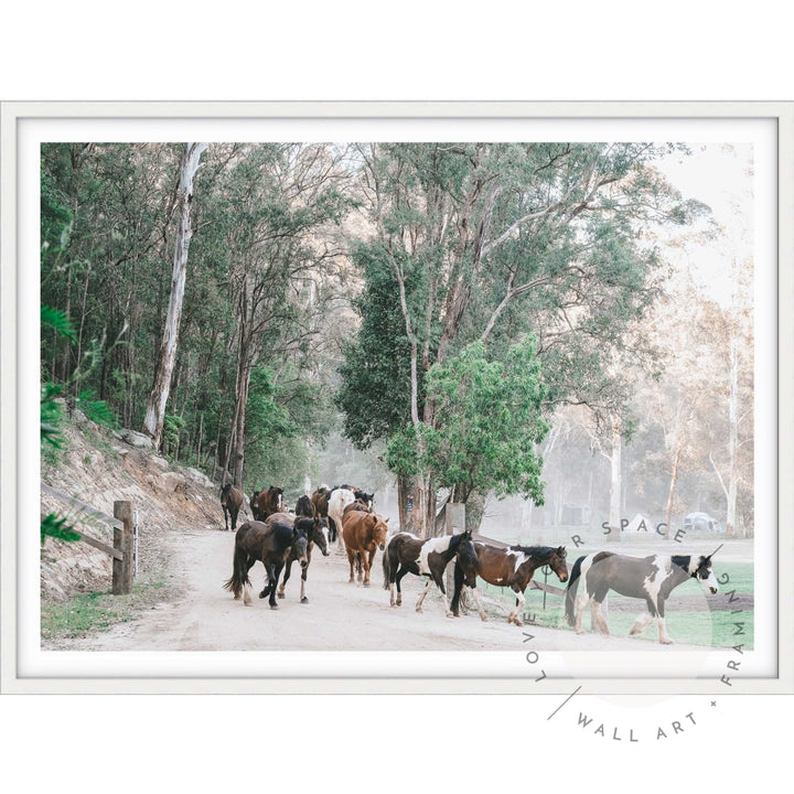 Glenworth Valley IIII A4 (21cm x 29.7cm) / White Posters Prints & Visual Artwork