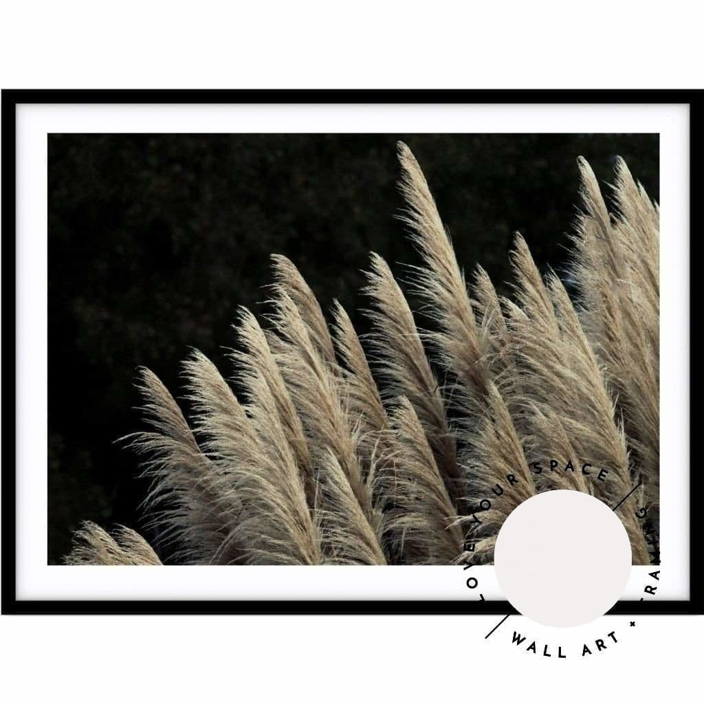 Gold Pampas - Love Your Space