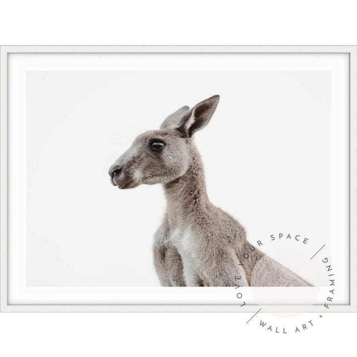 Grey Roo