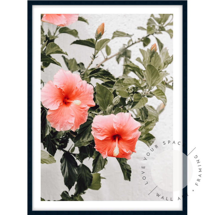 Hibiscus A4 (21cm x 29.7cm) / Black Posters Prints & Visual Artwork