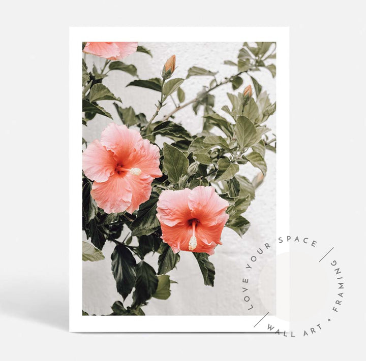 Hibiscus A4 (21cm x 29.7cm) / No Frame Posters Prints & Visual Artwork