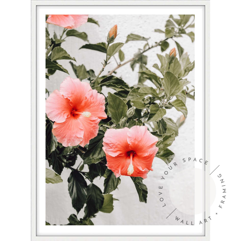 Hibiscus A4 (21cm x 29.7cm) / White Posters Prints & Visual Artwork