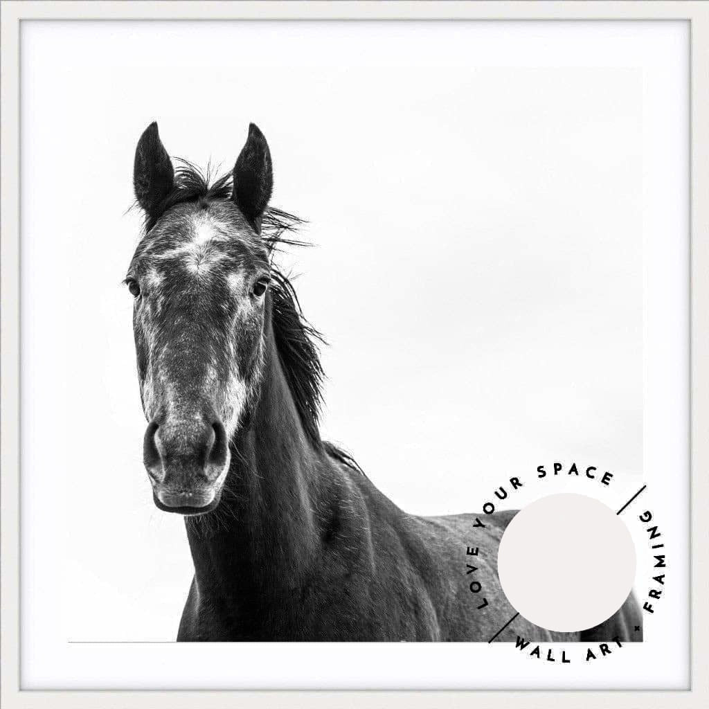 Horse I - SQUARE - Love Your Space