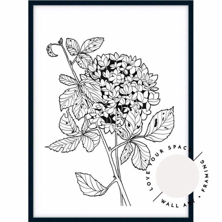 Hydrangea Sketch - Love Your Space