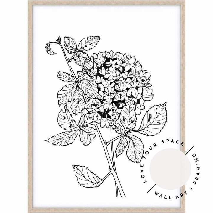 Hydrangea Sketch - Love Your Space