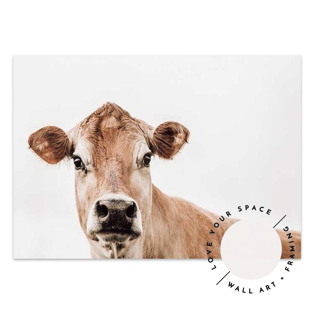 Jersey Cow - Love Your Space