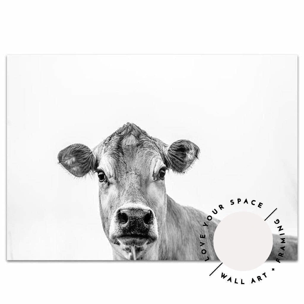 Jersey Cow B+W - Love Your Space