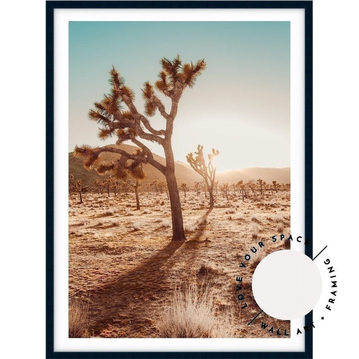 Joshua Tree At Sunset - Love Your Space