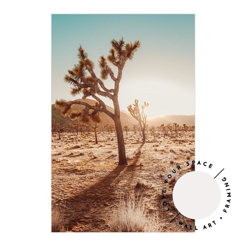 Joshua Tree At Sunset - Love Your Space