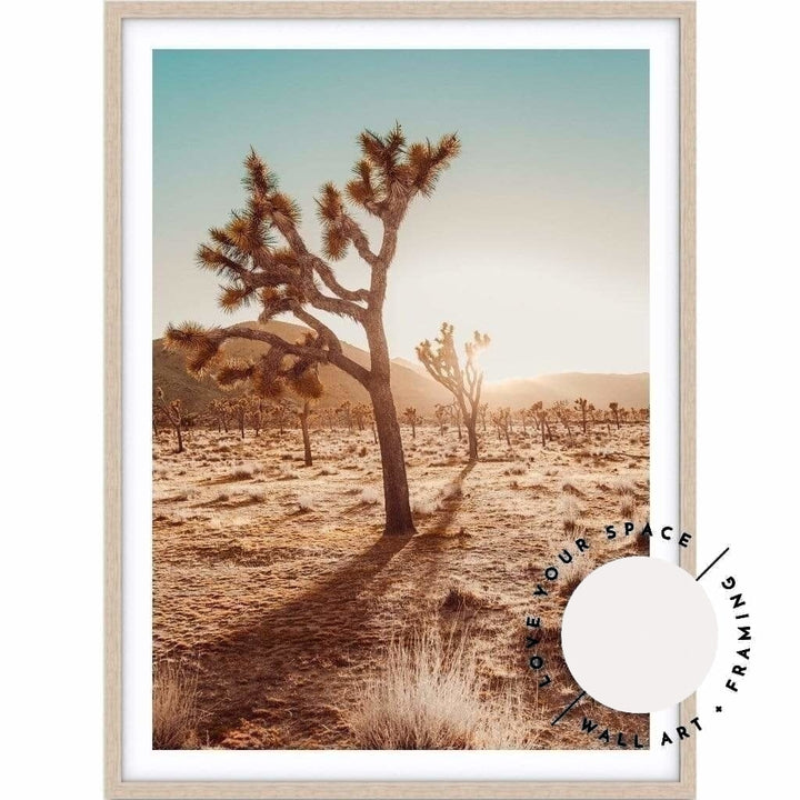 Joshua Tree At Sunset - Love Your Space