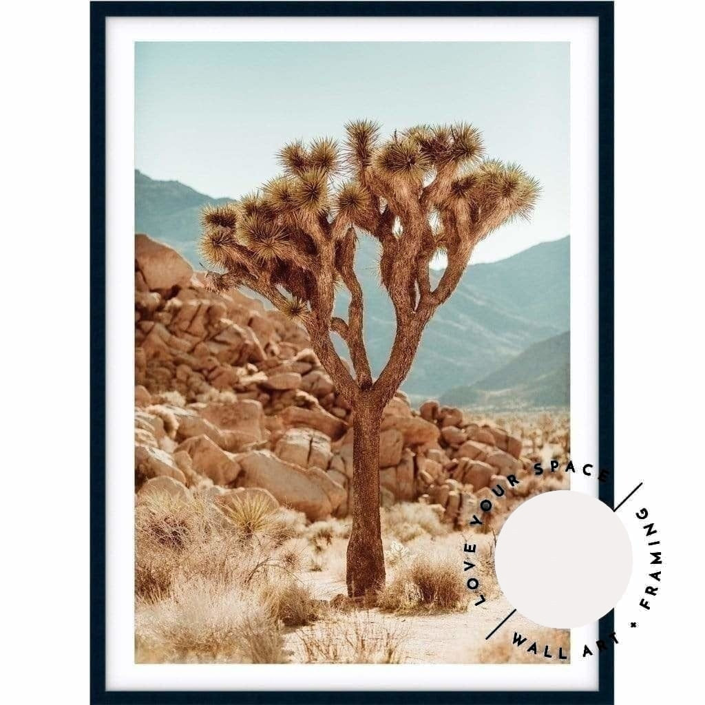 Joshua Tree no.1 - Love Your Space