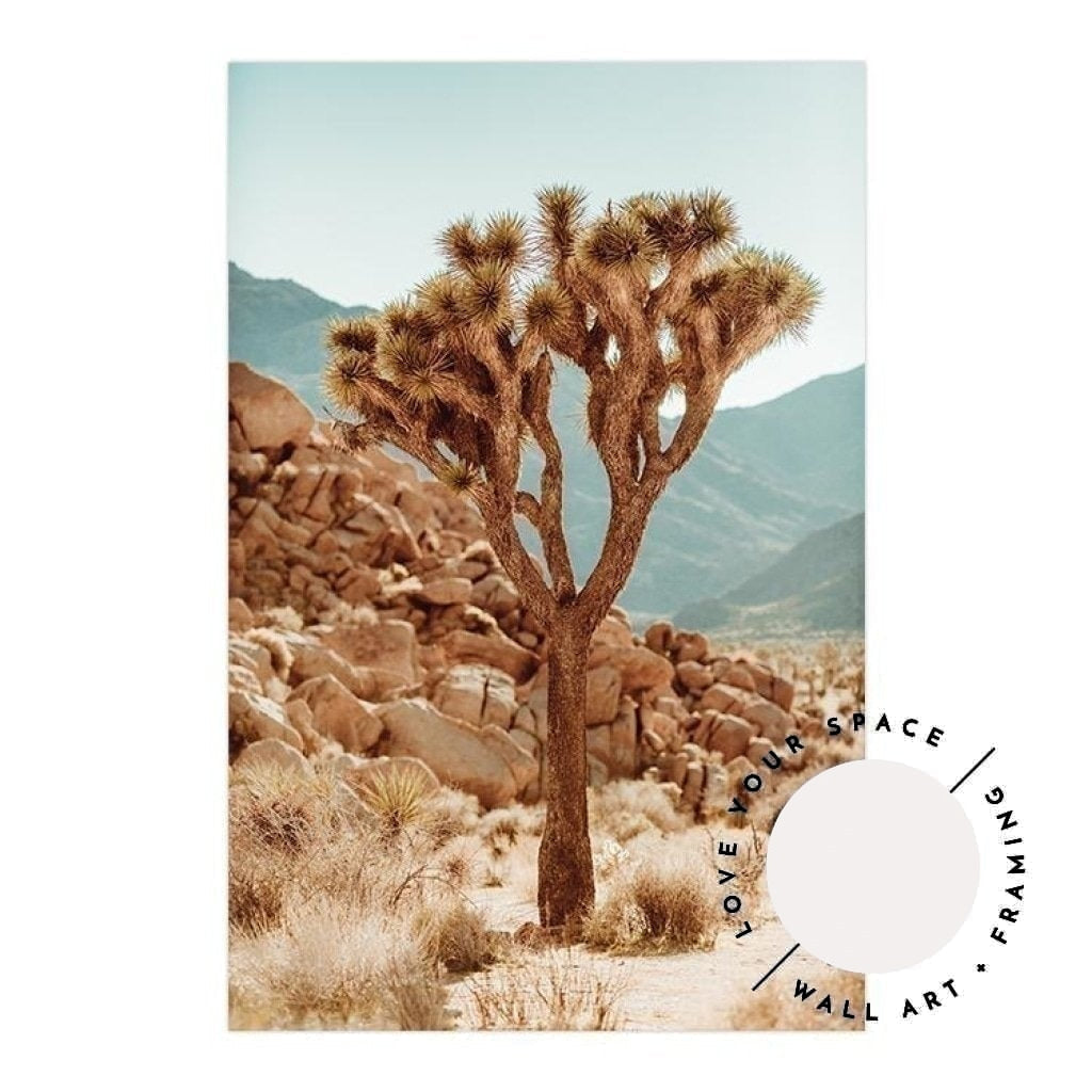 Joshua Tree no.1 - Love Your Space