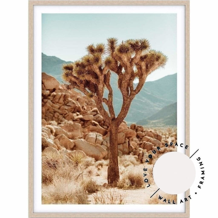 Joshua Tree no.1 - Love Your Space