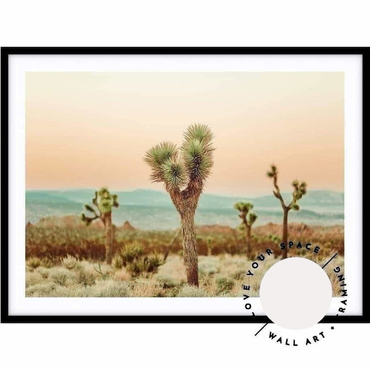 Joshua Tree no.2 - Love Your Space