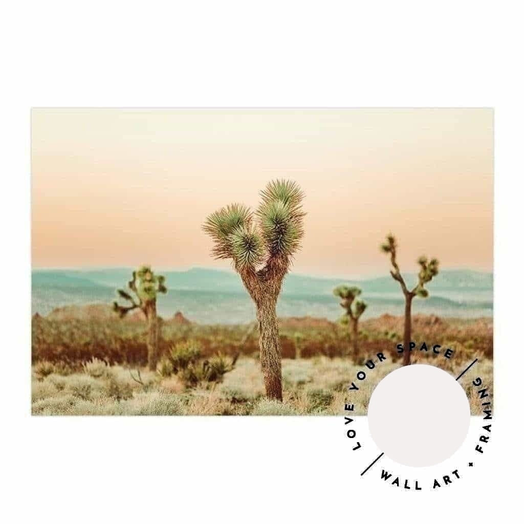 Joshua Tree no.2 - Love Your Space