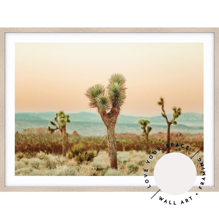 Joshua Tree no.2 - Love Your Space