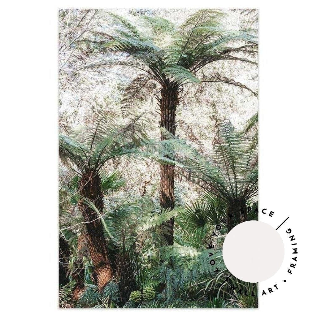 Katoomba Ferns - Love Your Space