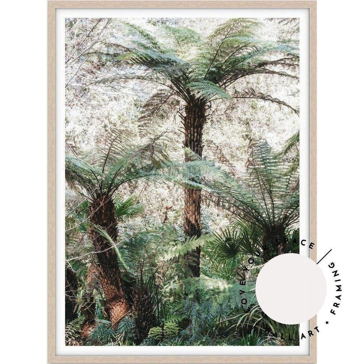 Katoomba Ferns - Love Your Space