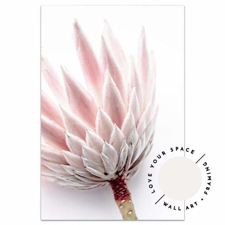 King Protea I - Love Your Space