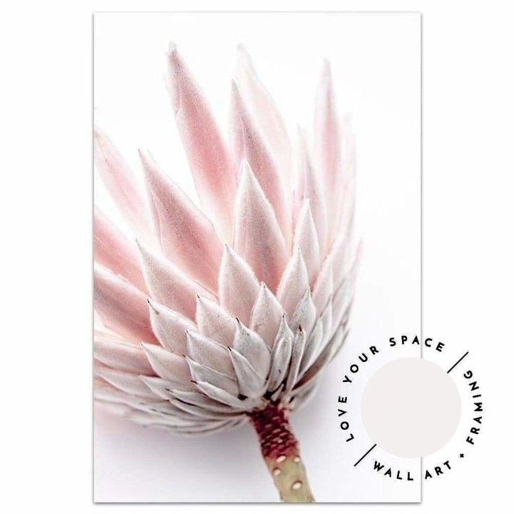 King Protea I - Love Your Space