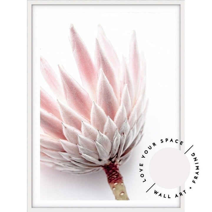 King Protea I - Love Your Space