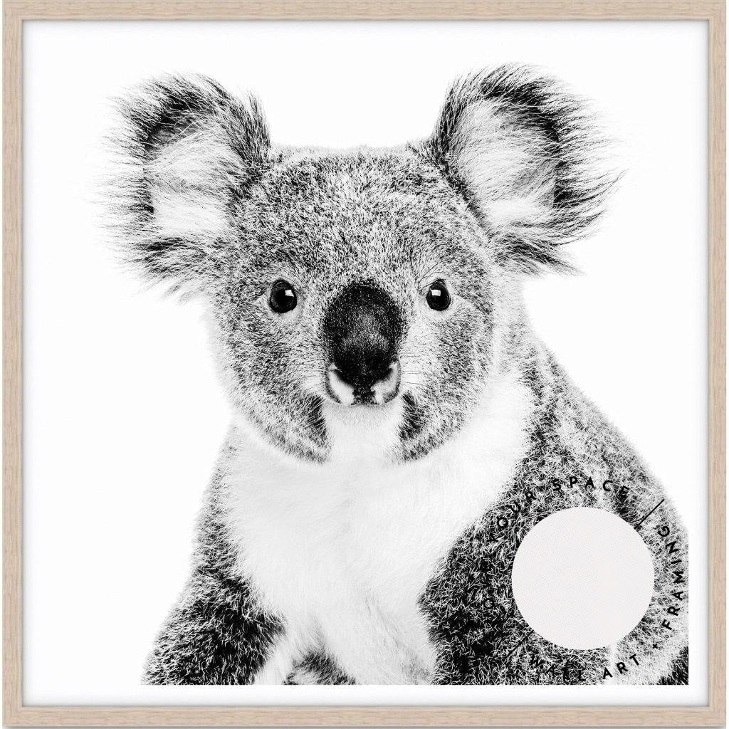 Koala - SQUARE - Love Your Space