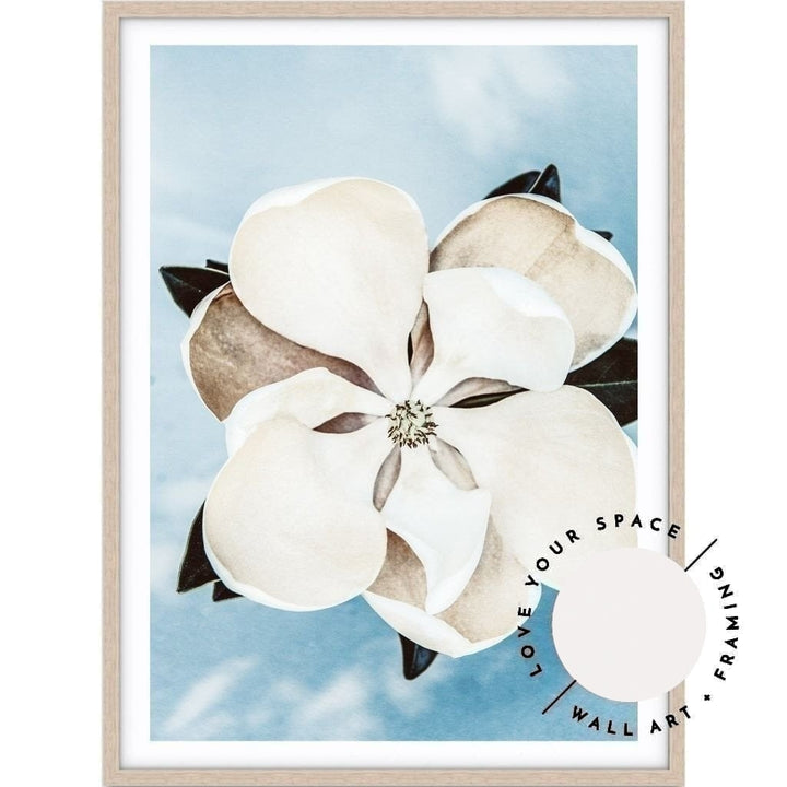 Magnolia On Blue - Love Your Space