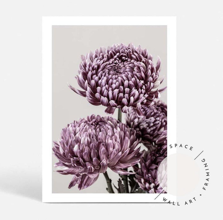 Mauve Chrysanthemum I - Love Your Space