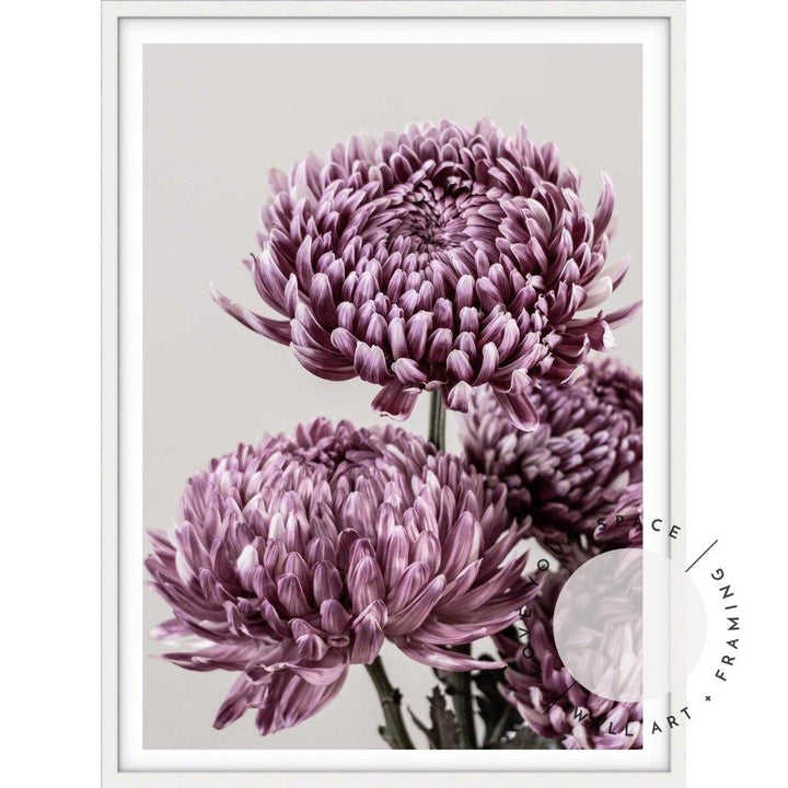 Mauve Chrysanthemum I - Love Your Space