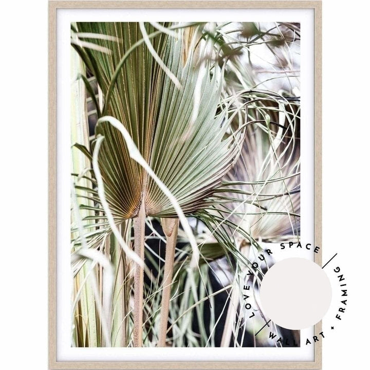 Messy Fan Palms no.2 - Love Your Space