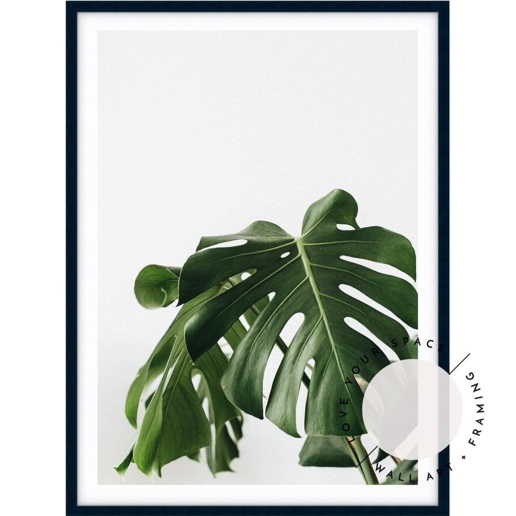 Monstera Leaf - Love Your Space