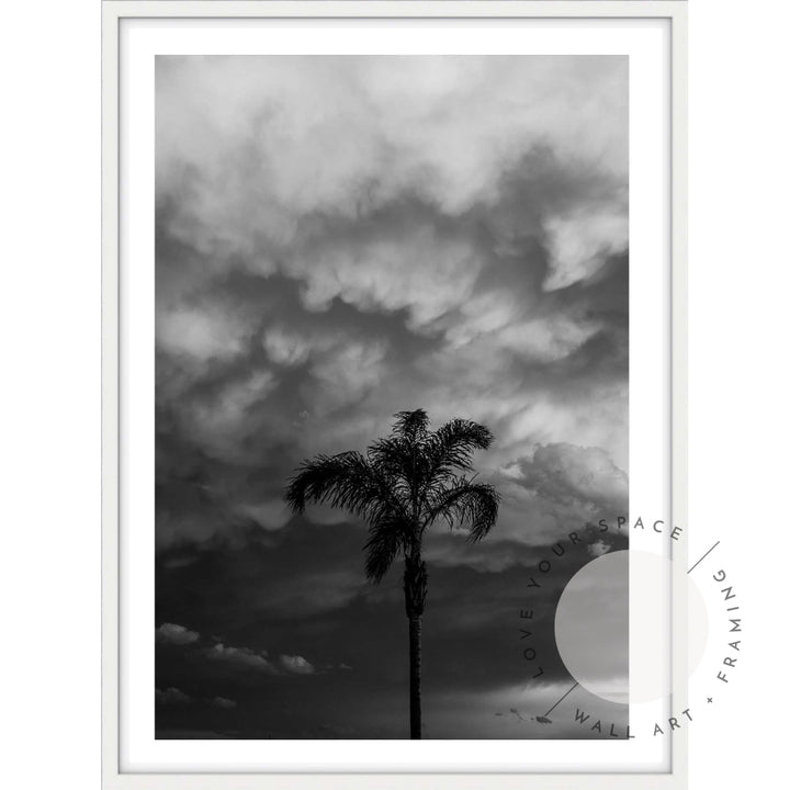 Moody Palm