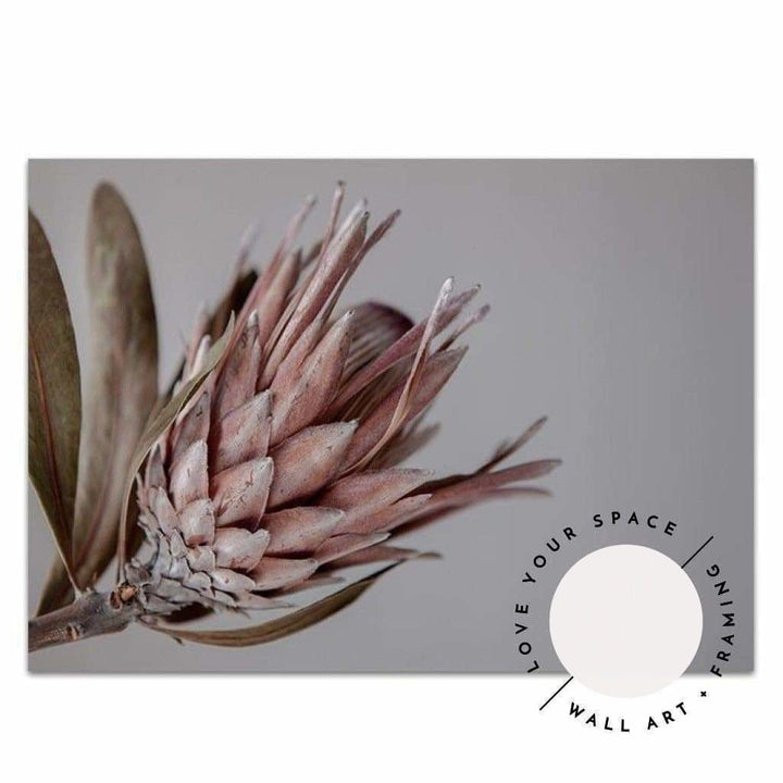 Native I - Love Your Space