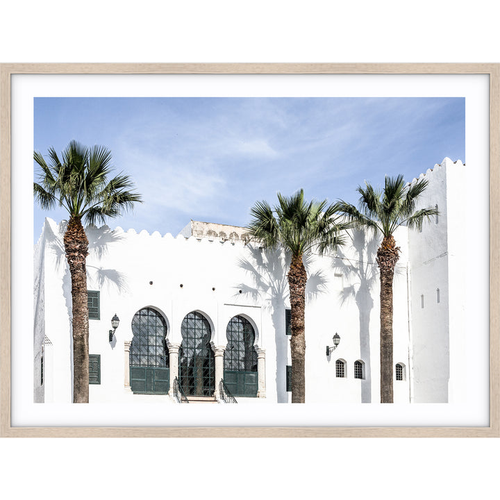 Moroccan Palms no.2