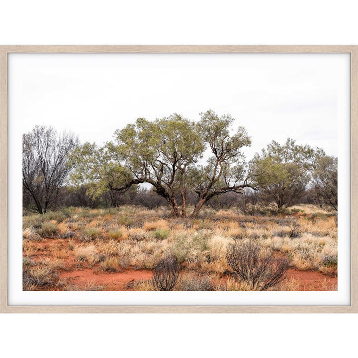 Red Dirt - Uluru III