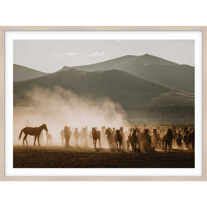 Mustering Italy I