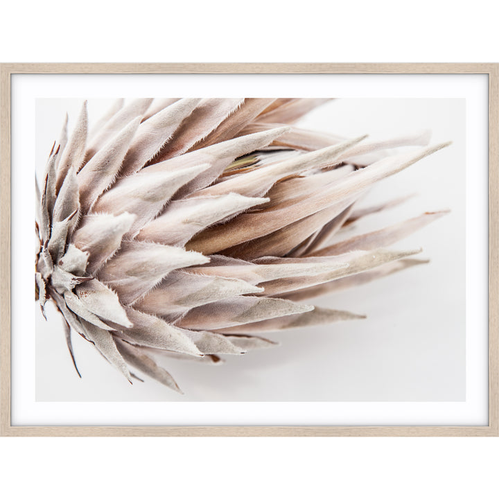 Ageing Gracefully II