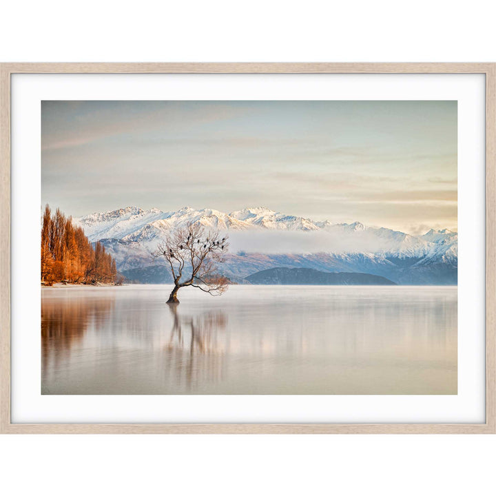 Lake Wanaka Otago - New Zealand
